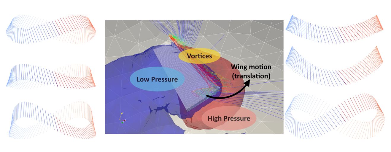 High Performance Simulation for Safer Society