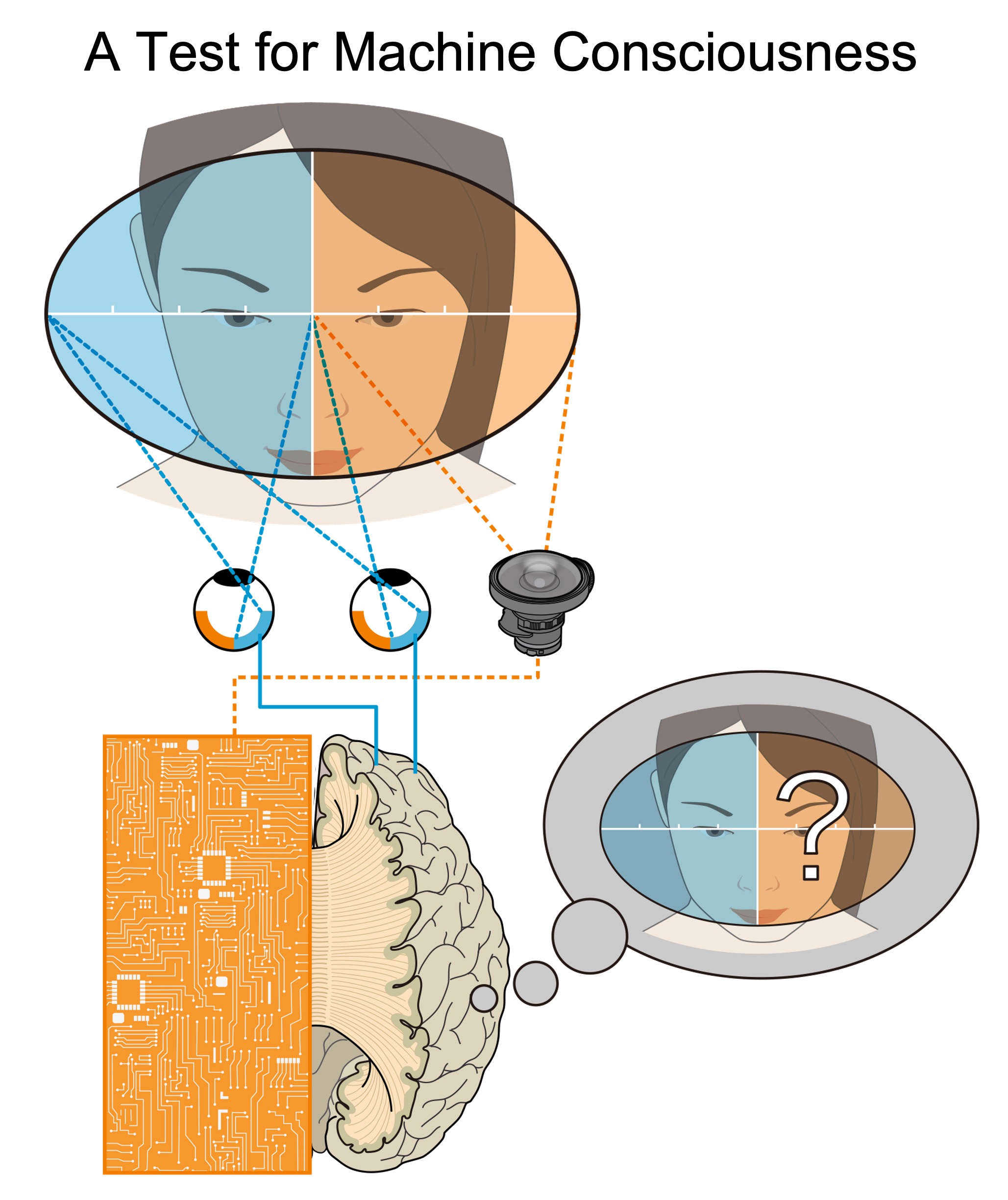 Unraveling the Neural Mechanism of Consciousness via Development of Machine Consciousness